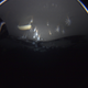 Illustration for article titled New species of Antarctic sea anemone could hint at alien life